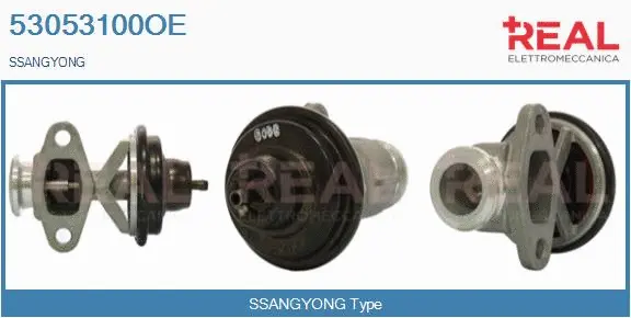 Vanne EGR REAL 53053100OE