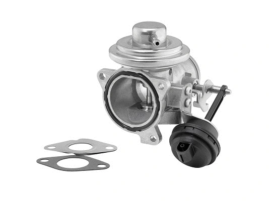 Vanne EGR BorgWarner 7293D