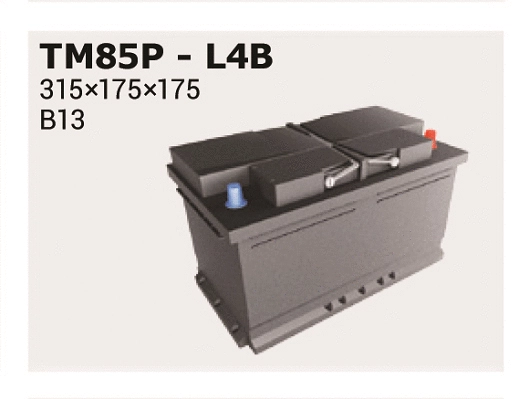 Batterie de démarrage IPSA TM85P