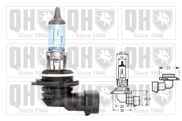 Ampoule, projecteur antibrouillard QUINTON HAZELL QBL9006