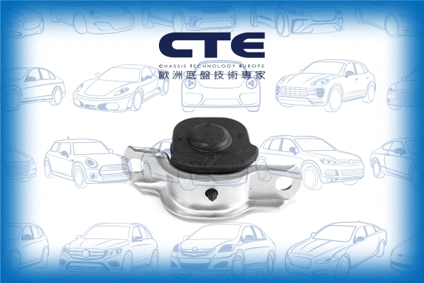 Suspension, bras de liaison CTE CBH05025L