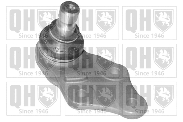 Rotule de suspension QUINTON HAZELL QSJ1893S