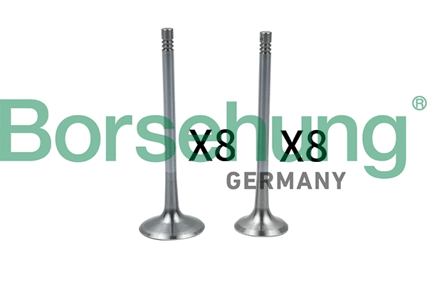 Soupape d'admission Borsehung B18637
