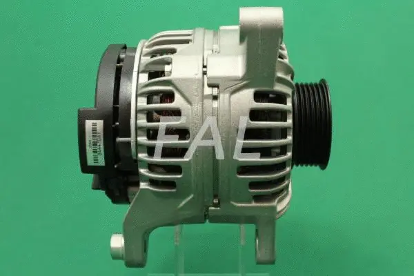 Alternateur FAL Anlasser- und Lichtmaschinenservice F000481/2