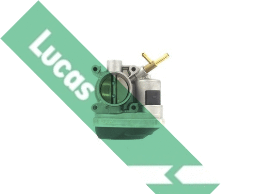 Corps papillon LUCAS LTH491