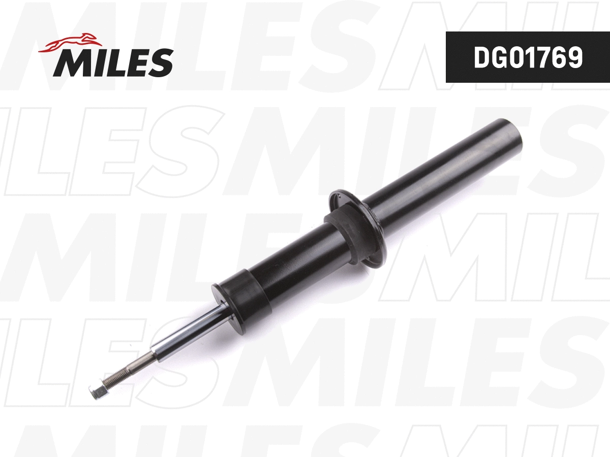 Amortisseur MILES DG01769