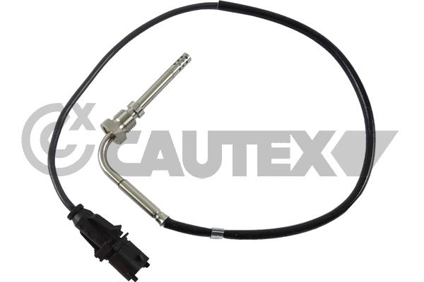 Capteur, température des gaz CAUTEX 771148