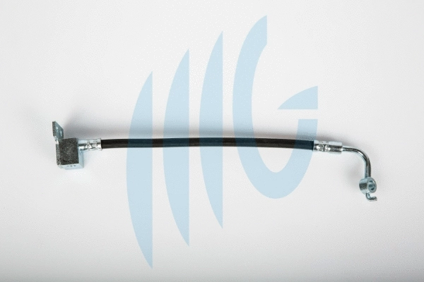 Flexible de frein RICAMBIFLEX GM 02300882