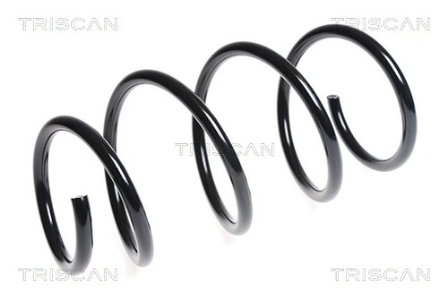 Ressort de suspension TRISCAN 8750 13163