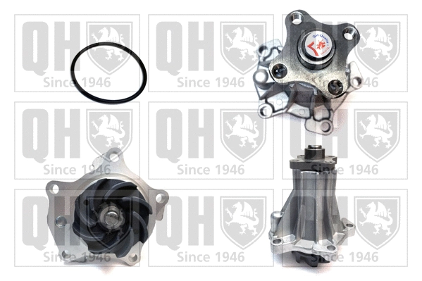 Pompe à eau, refroidissement du moteur QUINTON HAZELL QCP2934