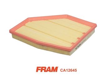 Filtre à air FRAM CA12645