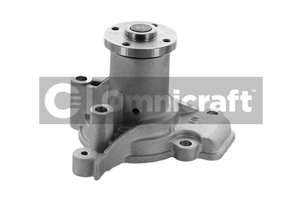 Pompe à eau, refroidissement du moteur Omnicraft 2317194