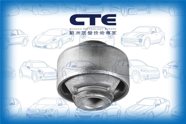 Suspension, bras de liaison CTE CBH01048