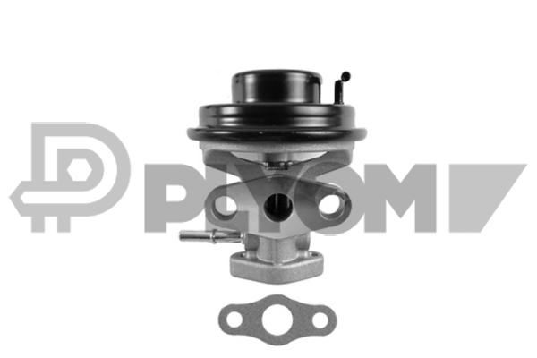 Vanne EGR PLYOM P772084