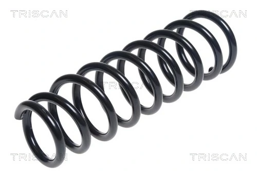 Ressort de suspension TRISCAN 8750 42112