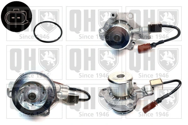 Pompe à eau, refroidissement du moteur QUINTON HAZELL QCP3876DPS