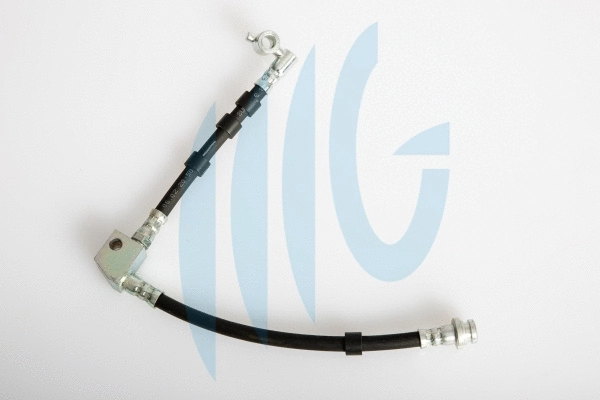 Flexible de frein RICAMBIFLEX GM 02100785