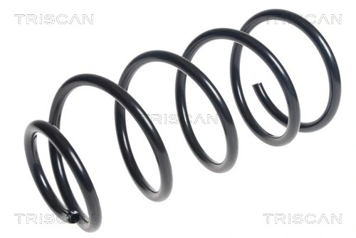 Ressort de suspension TRISCAN 8750 16113