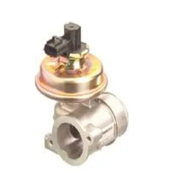 Vanne EGR ASSO 70.0140
