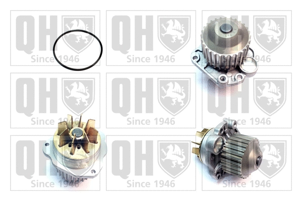 Pompe à eau, refroidissement du moteur QUINTON HAZELL QCP3606