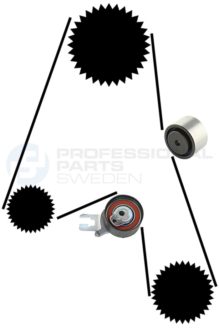 Kit de courroie crantée Professional Parts 21430025