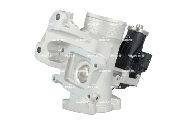 Vanne EGR NRF 48738