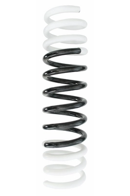 Ressort de suspension SPIDAN 85053