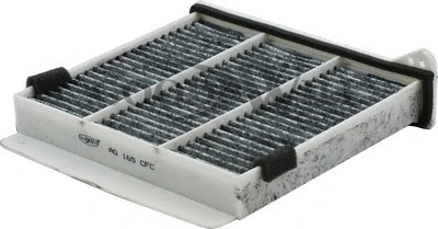 Filtre, air de l'habitacle GOODWILL AG 165 CFC