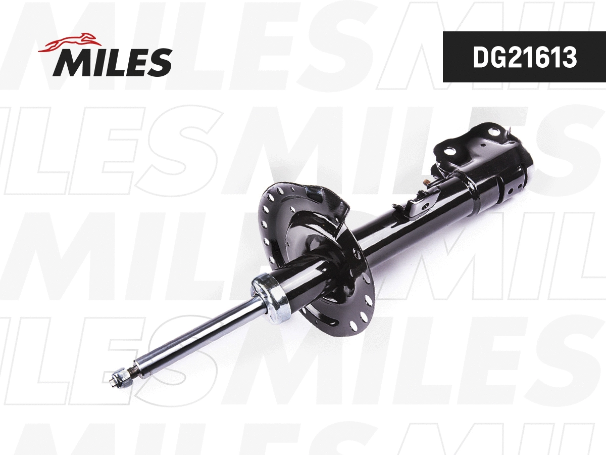 Amortisseur MILES DG21613