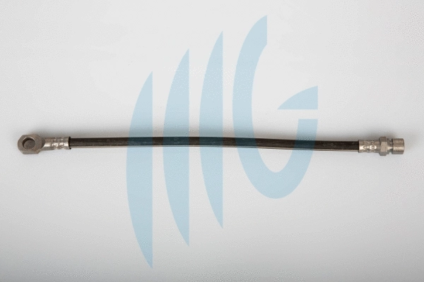 Flexible de frein RICAMBIFLEX GM 02080432