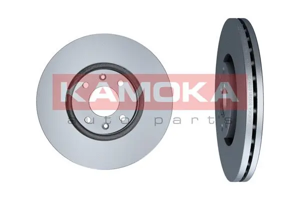 Disque de frein KAMOKA 103261
