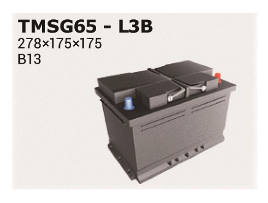 Batterie de démarrage IPSA TMSG65