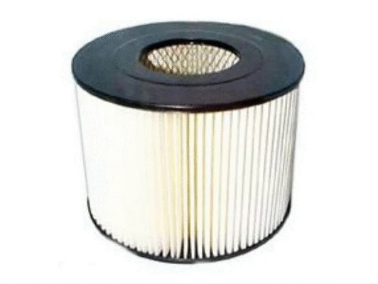 Filtre à air ACDelco Oceania ACA57