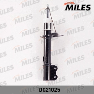 Amortisseur MILES DG21025