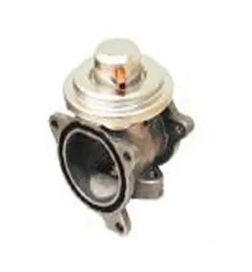 Vanne EGR ASSO 70.0131