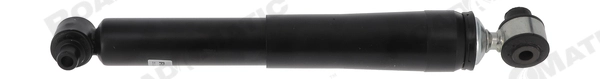 Amortisseur Roadmatic 251138RM