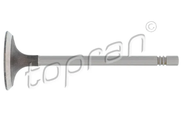 Soupape d'admission TOPRAN 110 195