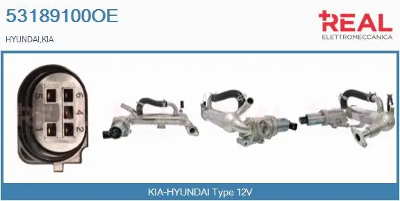 Module-EGR REAL 53189100OE