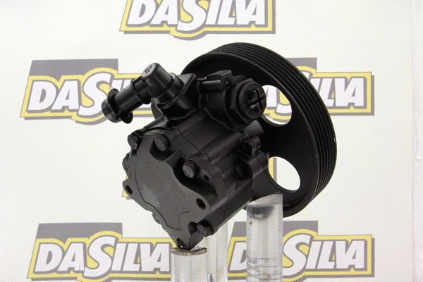 Pompe hydraulique, direction DA SILVA DP2619