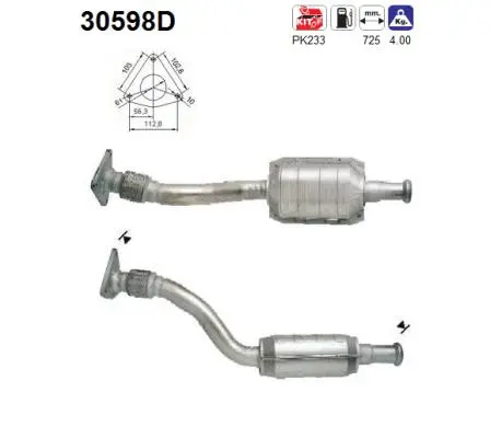 Catalyseur AS 30598D