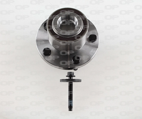 Kit de roulements de roue OPEN PARTS HBK5213.03