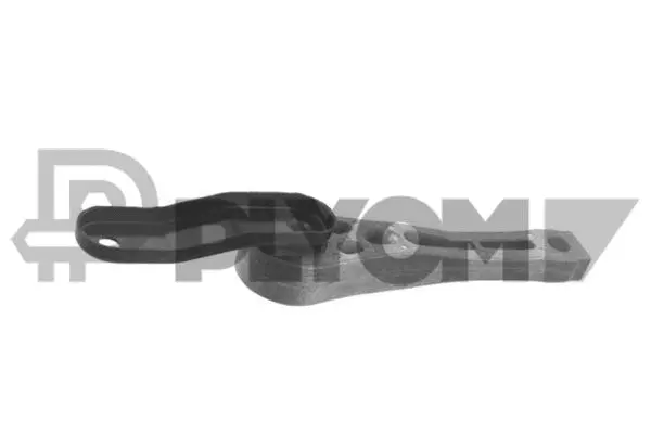Support moteur PLYOM P755947