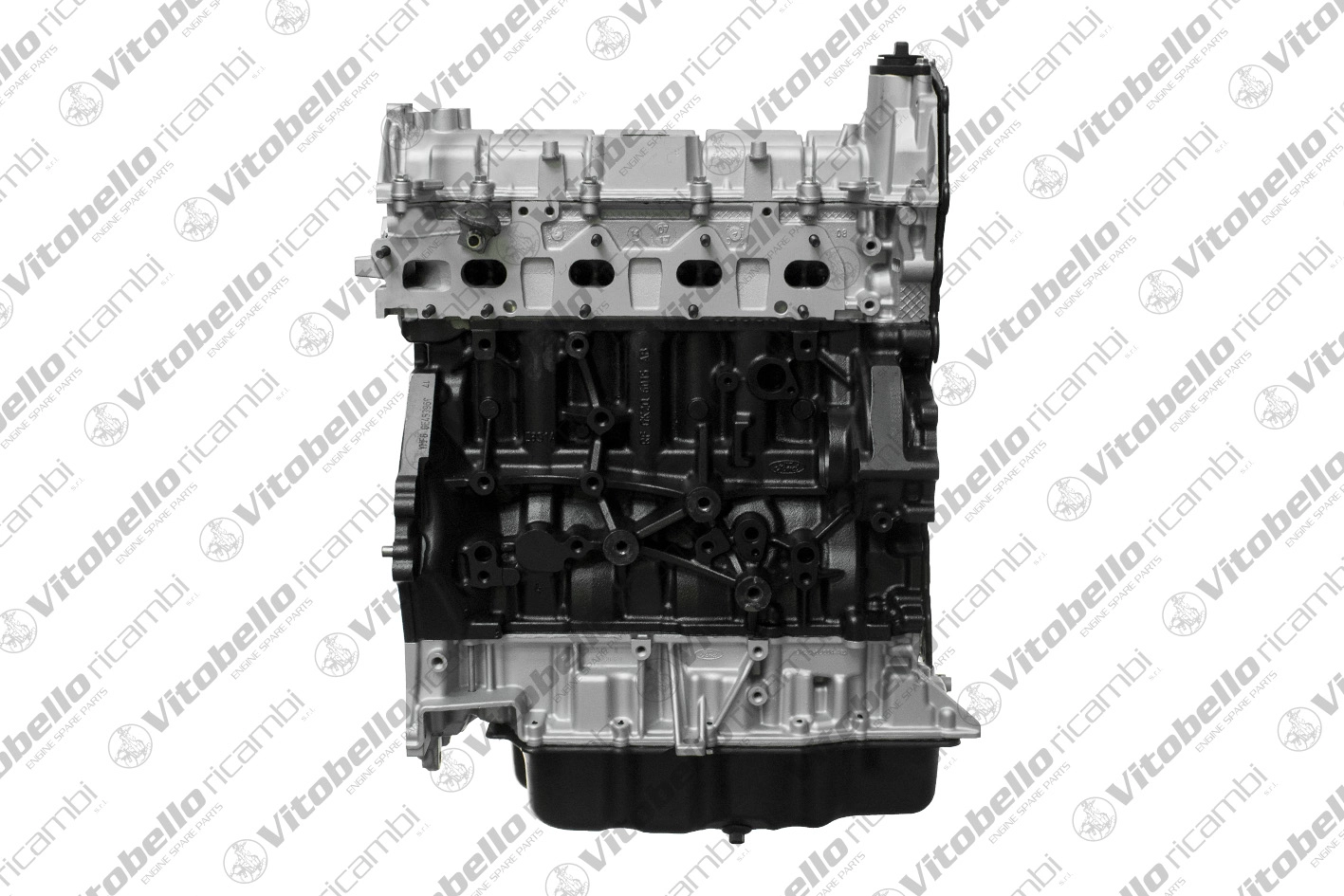 Partie du moteur Vitobello Ricambi 1003575R