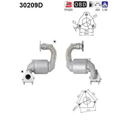 Catalyseur AS 30209D