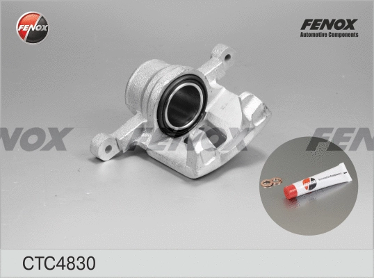 Jeu d'axes d'étriers de freins FENOX CTC4830