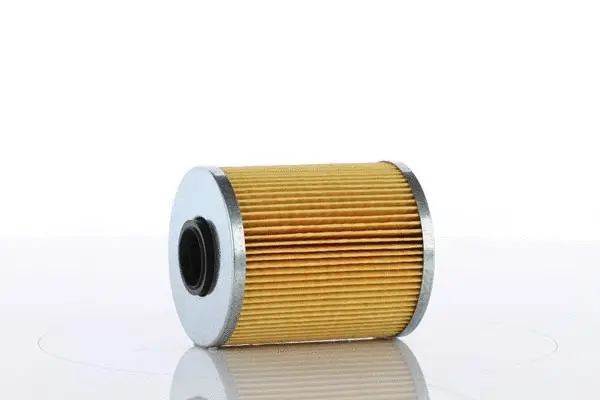 Filtre à carburant PZL Filters WP2019X
