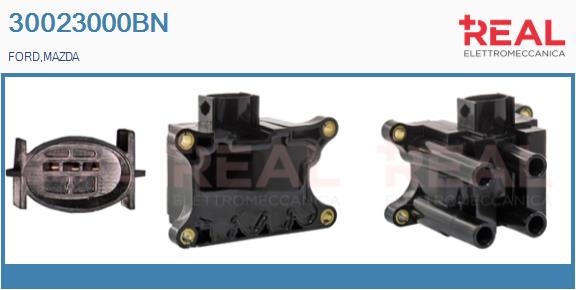 Bobine d'allumage REAL 30023000BN