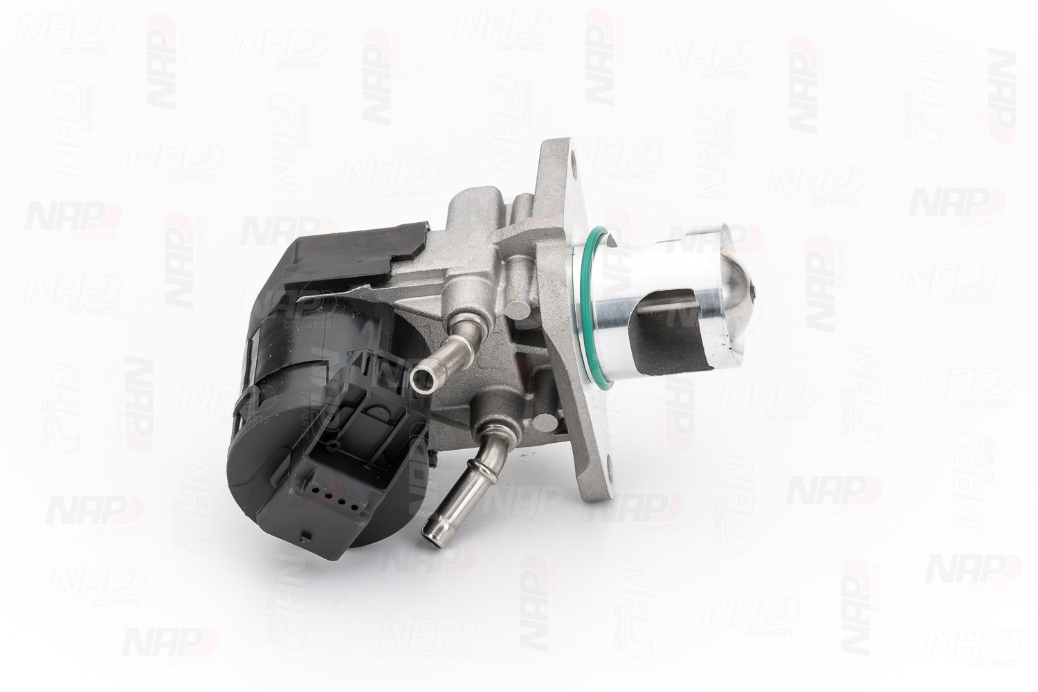 Vanne EGR NAP carPARTS CAV10123