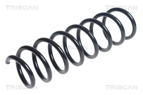 Ressort de suspension TRISCAN 8750 11153