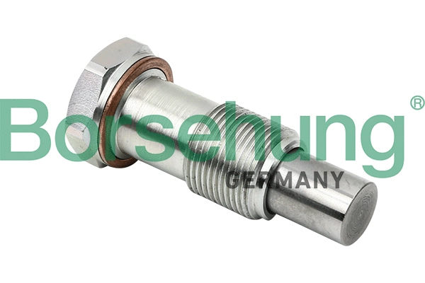 Tendeur, chaîne de distribution Borsehung B1T014